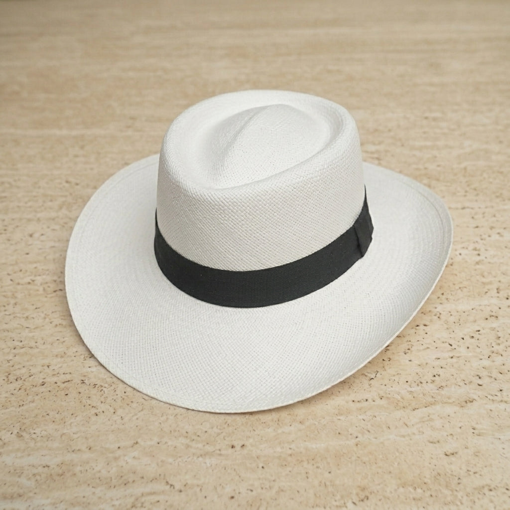 Paso Fino Classic